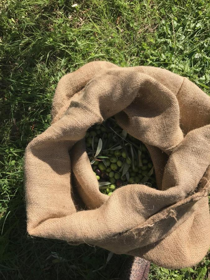 Podere Belvedere Λιβόρνο Εξωτερικό φωτογραφία